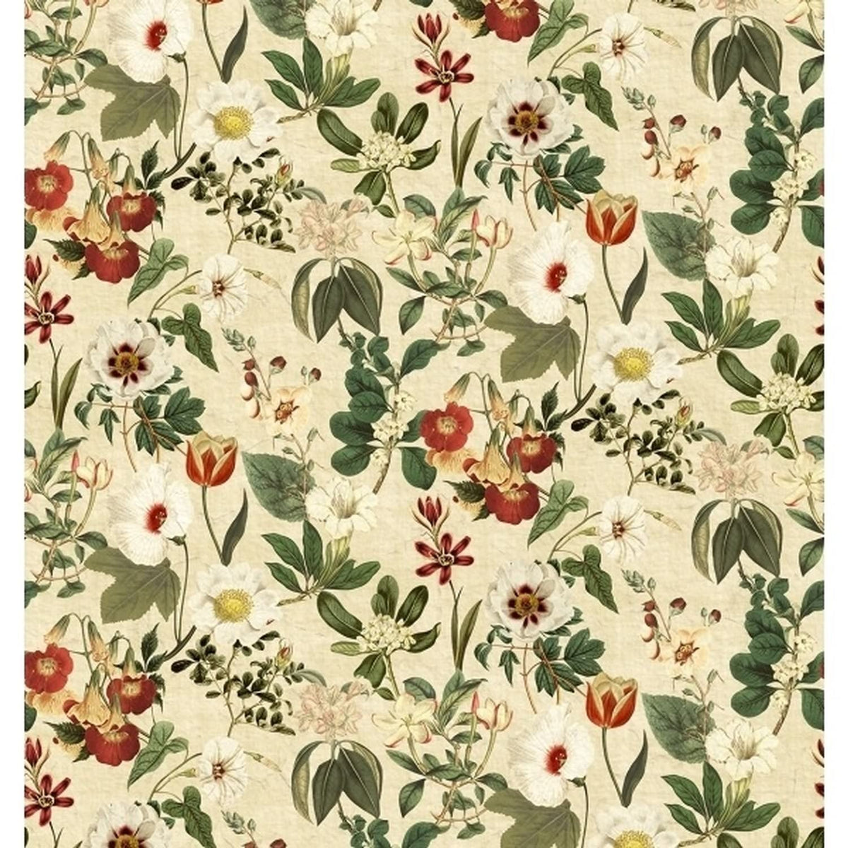 Botanique Parchment fabric coupon by Arte Fresca Outlet, showing a large view of the detailed botanical design. This printed 100% cotton fabric features various flowers and leaves in warm reds, vibrant white, and diverse greens on a textured, warm parchment-colored background, highlighting its smooth feel and artistic pattern.