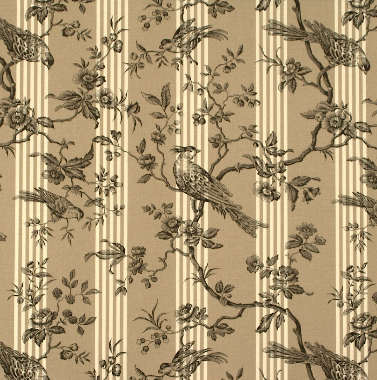 A repeating fabric pattern with vertical cream stripes on a warm beige background, overlaid with a dark brown floral and bird toile motif.