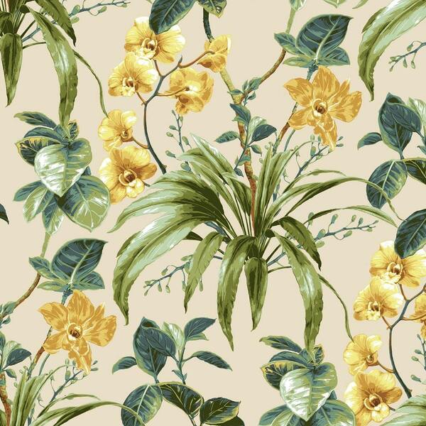 Flaches Muster des französischen Baumwollstoffs mit gemalten Orchideen in Gelb und Grün