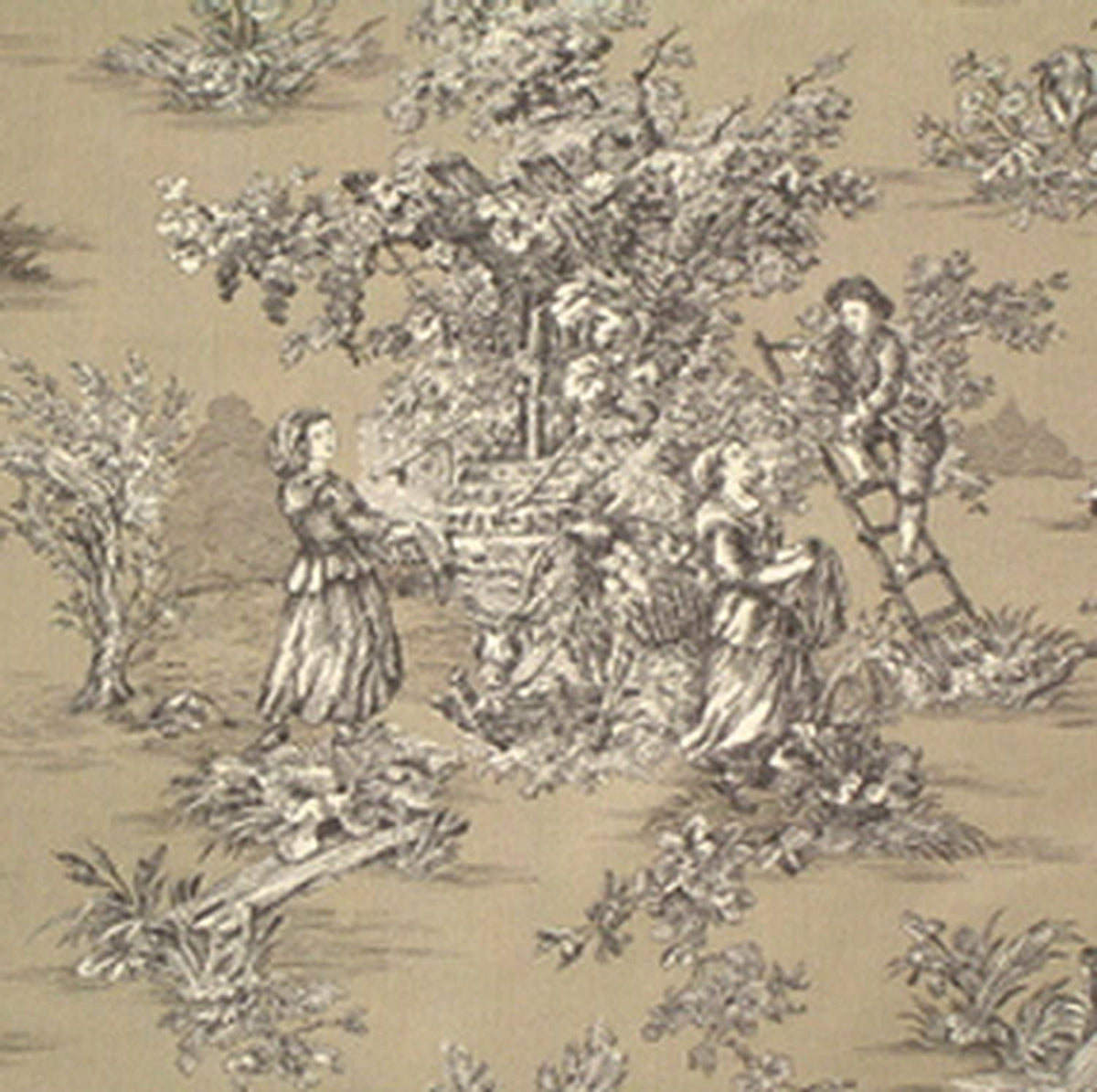 A detailed close-up of the TOILE DE JOUY BRAUN fabric coupon, showcasing the fine line work and printed texture of the classic pastoral pattern. The image emphasizes the quality of the cotton weave.